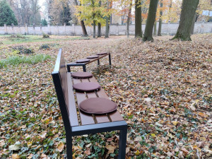 Ústřední hřbitov nabízí pozůstalým nový způsob pohřbívání, popel uloží ke kořenům stromu