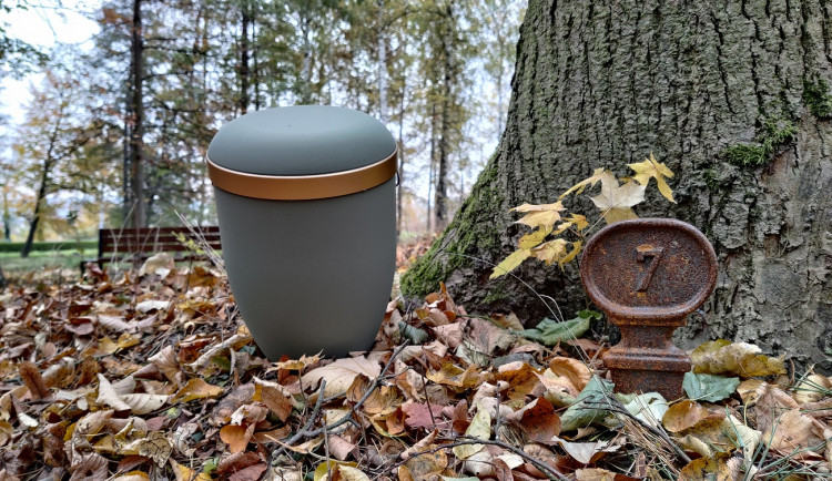 Ústřední hřbitov nabízí pozůstalým nový způsob pohřbívání, popel uloží ke kořenům stromu