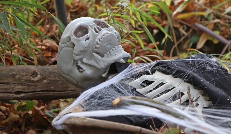 Zoologický zahrada zve na strašidla