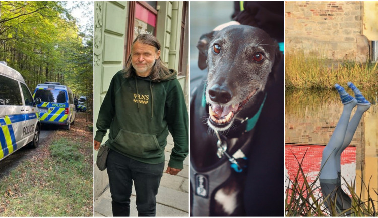 ŘÍJEN 2021: Příběhy se šťastným koncem, oblečené sochy i otázka propouštění