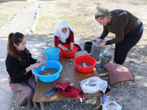 Archeologové z Plzně objevili v Kyrgyzstánu sedm sídlištních pahorků na Hedvábné stezce