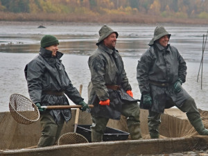Výlov Dolejšího Padrťského rybníka