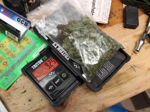 Při domovní prohlídce našli policisté drogy i injekční stříkačky