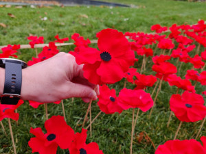 Záhonek s vlčími máky zaplnily stovky květin, připomínají válečné hrdiny a veterány