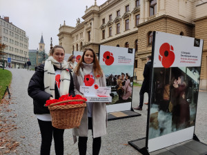 Záhonek s vlčími máky zaplnily stovky květin, připomínají válečné hrdiny a veterány