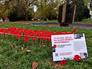 Záhonek s vlčími máky zaplnily stovky květin, připomínají válečné hrdiny a veterány