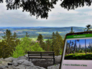 Brdskými lesy provede návštěvníky virtuální lesník, stačí si ho zdarma stáhnout do mobilu