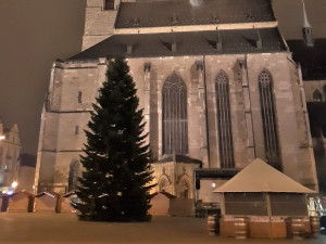 FOTOGALERIE: Nádherně rostlý vánoční strom pro Plzeň dorazil v noci na náměstí Republiky