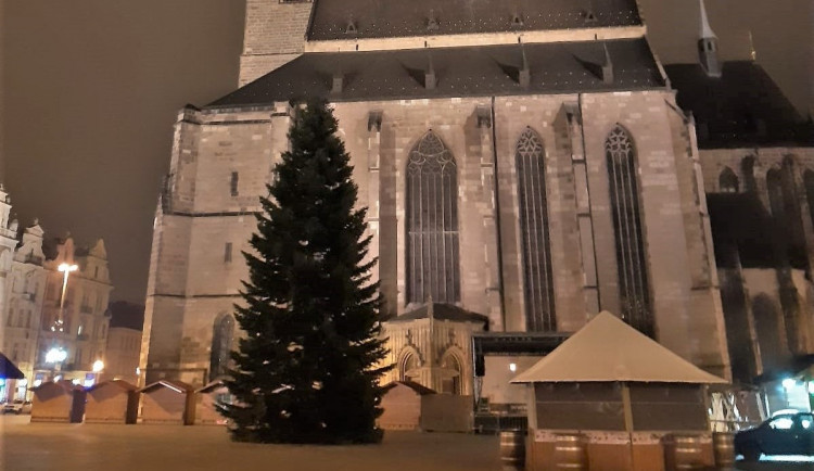 V noci strom dorazil na náměstí Republiky