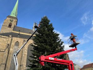 Zdobení vánočního stromu na plzeňském náměstí Republiky je v plném proudu