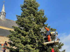 Zdobení vánočního stromu na plzeňském náměstí Republiky je v plném proudu