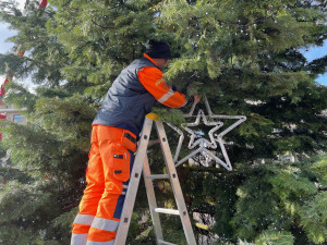 Zdobení vánočního stromu na plzeňském náměstí Republiky je v plném proudu