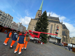 Zdobení vánočního stromu na plzeňském náměstí Republiky je v plném proudu