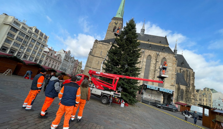Zdobení vánočního stromu na plzeňském náměstí Republiky je v plném proudu