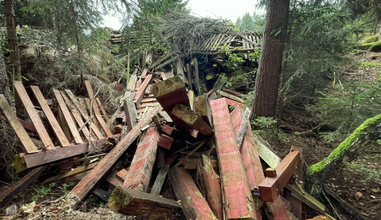 Černou skládku v srdci NP Šumava vytvořili jeho pracovníci, navezli do lesa hromady odpadu