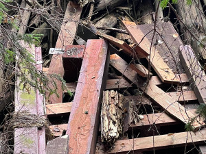 Černou skládku v srdci NP Šumava vytvořili jeho pracovníci, navezli do lesa hromady odpadu