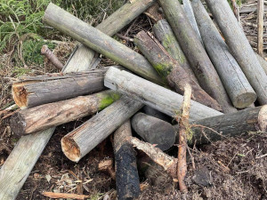 Černou skládku v srdci NP Šumava vytvořili jeho pracovníci, navezli do lesa hromady odpadu