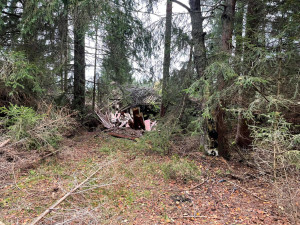 Černou skládku v srdci NP Šumava vytvořili jeho pracovníci, navezli do lesa hromady odpadu