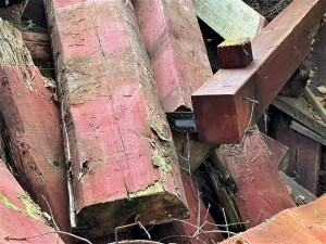 Černou skládku v srdci NP Šumava vytvořili jeho pracovníci, navezli do lesa hromady odpadu