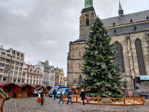 Slavnostní rozsvícení vánočního stromu ruší pro veřejnost město Plzeň, lidé mohou akci sledovat on-line