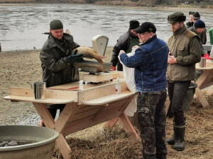 Rybáři vylovili Drahotínský rybník, kapry a také stromečky nakoupí Plzeňané tradičně u Košináře