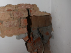 Toxi tým odhalil další nelegální pěstírnu marihuany, na sklizeň tam čekalo 200 kusů vzrostlých rostlin