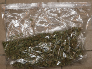 Toxi tým odhalil další nelegální pěstírnu marihuany, na sklizeň tam čekalo 200 kusů vzrostlých rostlin