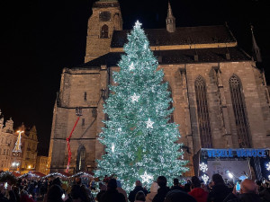 Stovky lidí si nenechaly ujít rozsvícení vánočního stromu v Plzni, i když akci město oficiálně zrušilo