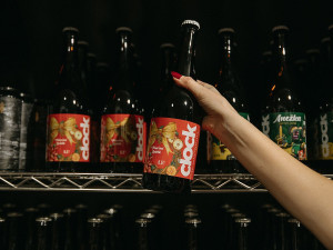 Unikátní pivotéku otevřelo Pivovarské muzeum v Plzni, podpořit má i komunitu domovarníků