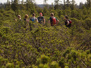 Program Průvodci divočinou v sezóně 2021 uspokojil rekordní počet zájemců
