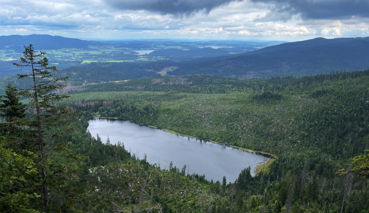 Velkým turistickým cílem v NP Šumava je Plešné jezero