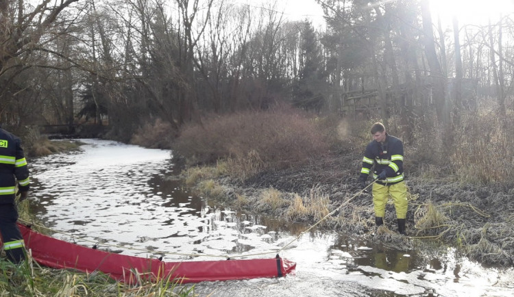 Na Plzeňsku se dostala do potoka neznámá látka, uhynuly v něm ryby