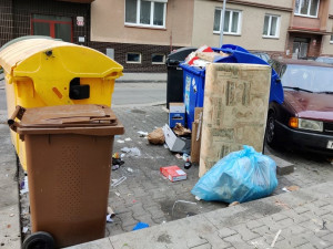 Co si myslí zastupitelé Plzně o hromadění odpadu u kontejnerů na řadě míst v širším centru města?