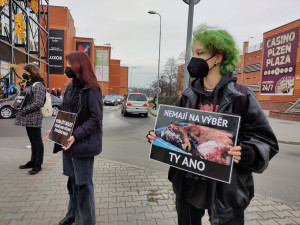 Tichá ulička za kapry stála před obchodním centrem, aktivisté bojují za Vánoce bez zabíjení zvířat