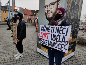 Tichá ulička za kapry stála před obchodním centrem, aktivisté bojují za Vánoce bez zabíjení zvířat