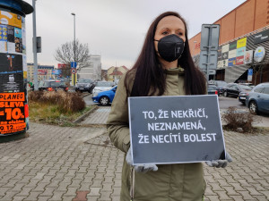 Tichá ulička za kapry stála před obchodním centrem, aktivisté bojují za Vánoce bez zabíjení zvířat