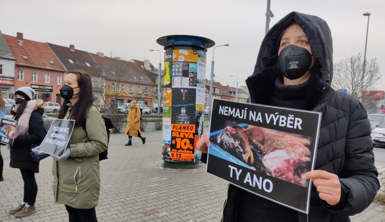 Tichou uličkou bojují aktivisté za Vánoce bez zabíjení kaprů