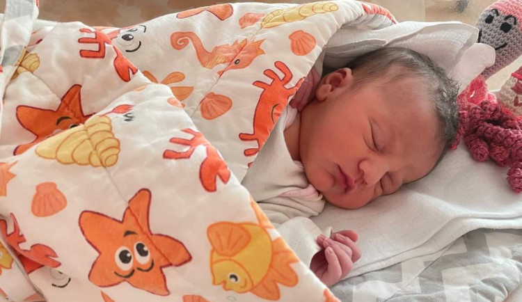 Emily přišla na svět minutu po půlnoci a je prvním plzeňským miminkem letošního roku