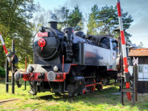 Lokomotiva 313.902, foto: Iron Monument Club