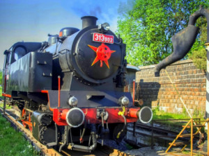 Lokomotiva 313.902, foto: Iron Monument Club