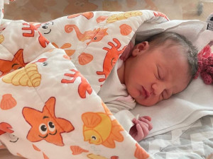 Emily přišla na svět minutu po půlnoci a je prvním plzeňským miminkem letošního roku