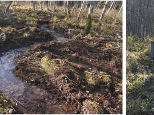 zatrubněný potok před a po revitalizaci