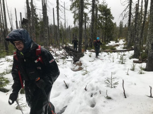 Pražáka ztraceného na Šumavě se nepodařilo najít při mohutné pátrací akci