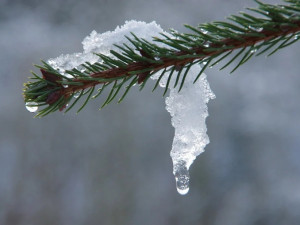 Špatná zpráva pro milovníky zimy, podle meteorologů se o víkendu oteplí