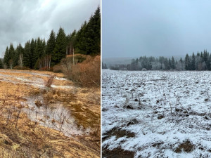 Vzniku mohutné povodňové vlny zabránily při masivních lijácích na Šumavě křivolaké tvary mělkých potoků