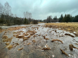 Vzniku mohutné povodňové vlny zabránily při masivních lijácích na Šumavě křivolaké tvary mělkých potoků