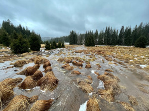 Vzniku mohutné povodňové vlny zabránily při masivních lijácích na Šumavě křivolaké tvary mělkých potoků