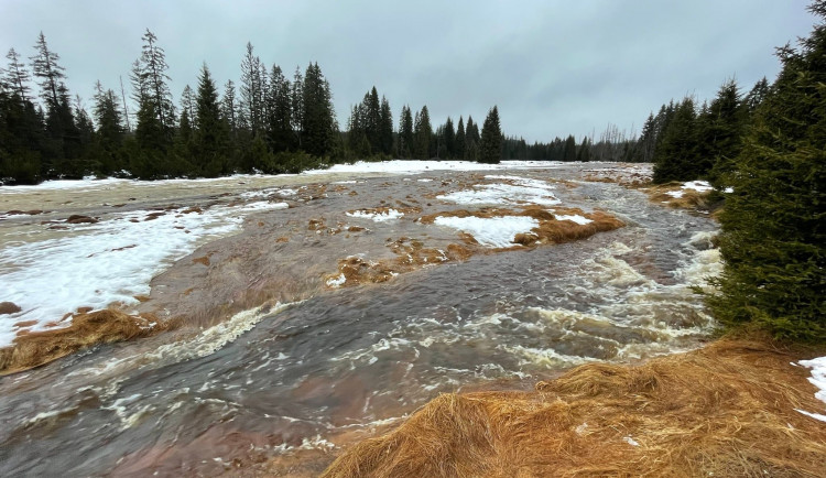 Vzniku mohutné povodňové vlny zabránily při masivních lijácích na Šumavě křivolaké tvary mělkých potoků
