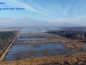 Na těchto rybnících teď pobývá Pařátek