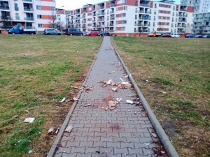 Popeláři odvezli po svátcích až dvojnásobek odpadu, veřejné skládky jsou však celoroční problém